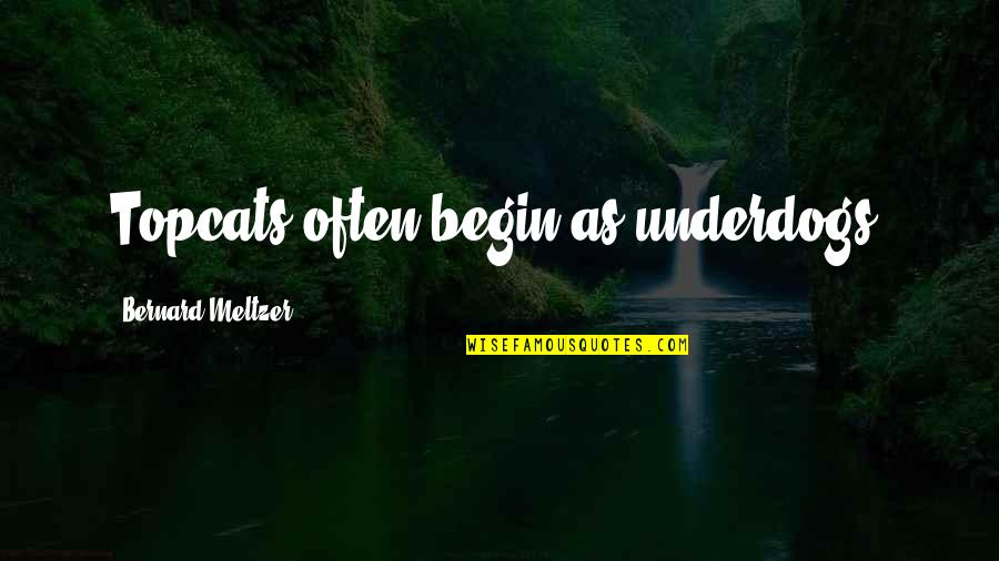 Famous Labor Day Quotes By Bernard Meltzer: Topcats often begin as underdogs.