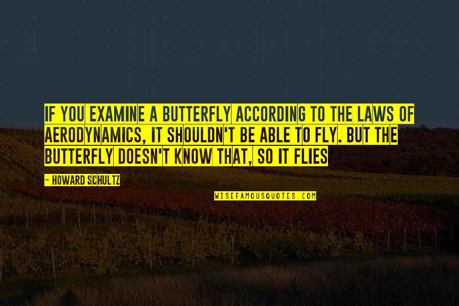 Famous Lake Tahoe Quotes By Howard Schultz: If you examine a butterfly according to the