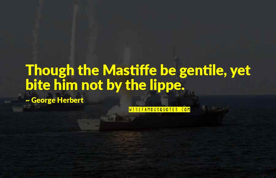 Famous Letterman Quotes By George Herbert: Though the Mastiffe be gentile, yet bite him