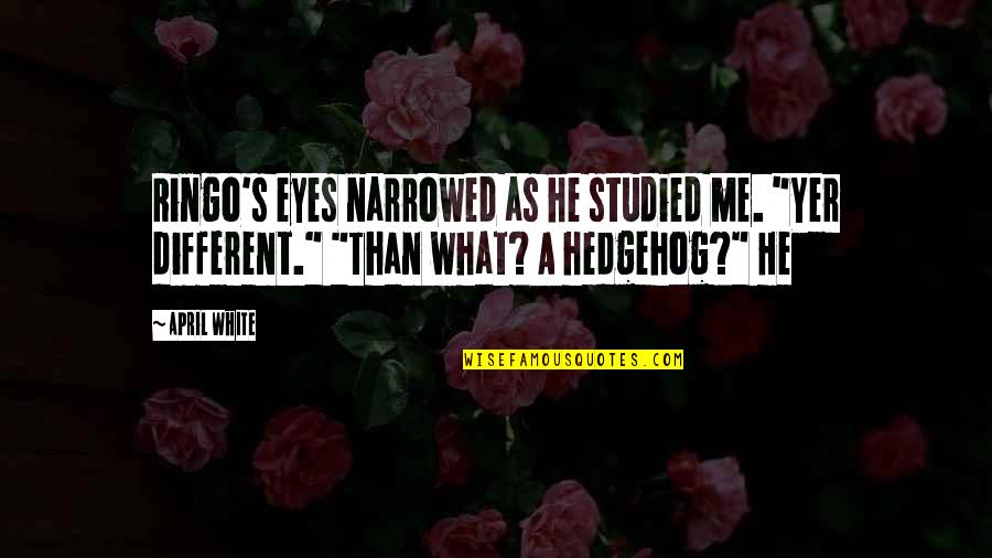 Famous Lighthouses Quotes By April White: Ringo's eyes narrowed as he studied me. "Yer