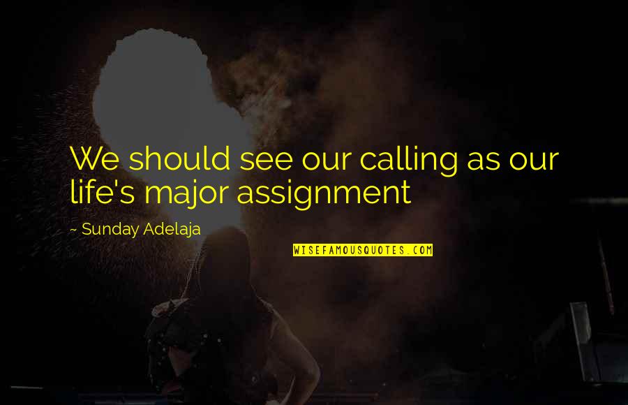 Famous Little Nicky Quotes By Sunday Adelaja: We should see our calling as our life's