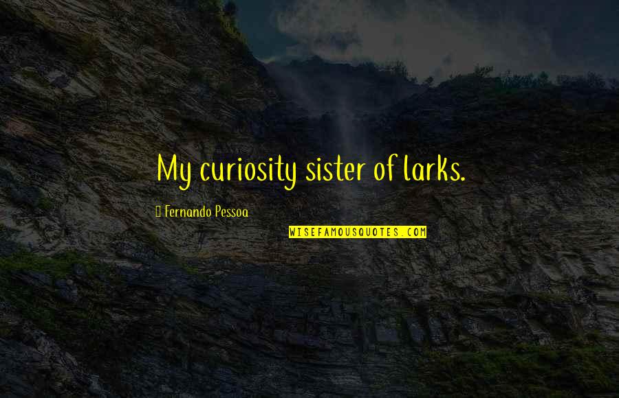 Famous Lone Ranger Quotes By Fernando Pessoa: My curiosity sister of larks. Famous Lone Ranger Quotes By Fernando Pessoa: My curiosity sister of larks.