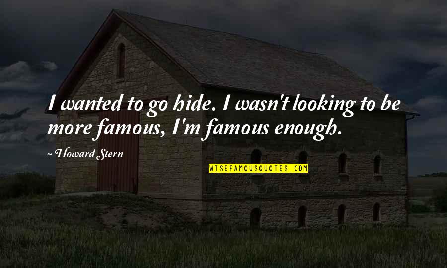 Famous M&e Quotes By Howard Stern: I wanted to go hide. I wasn't looking