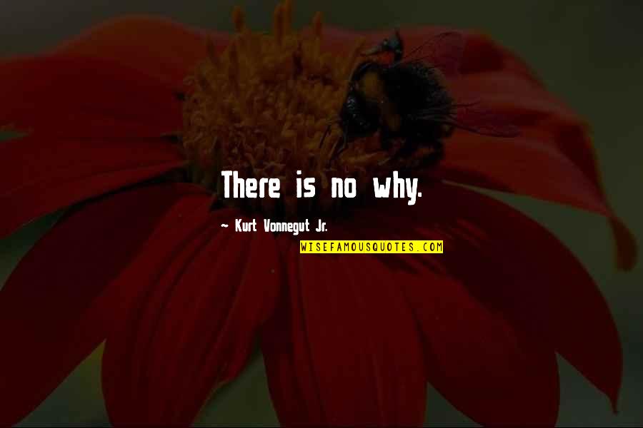 Famous Microbiology Quotes By Kurt Vonnegut Jr.: There is no why. Famous Microbiology Quotes By Kurt Vonnegut Jr.: There is no why.
