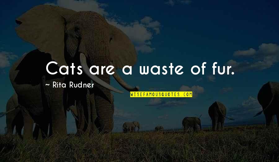 Famous Mother Quotes By Rita Rudner: Cats are a waste of fur.