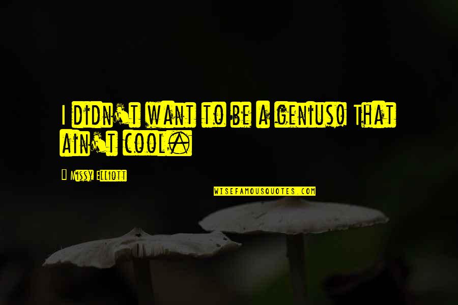 Famous Mozambique Quotes By Missy Elliott: I didn't want to be a genius! That Famous Mozambique Quotes By Missy Elliott: I didn't want to be a genius! That