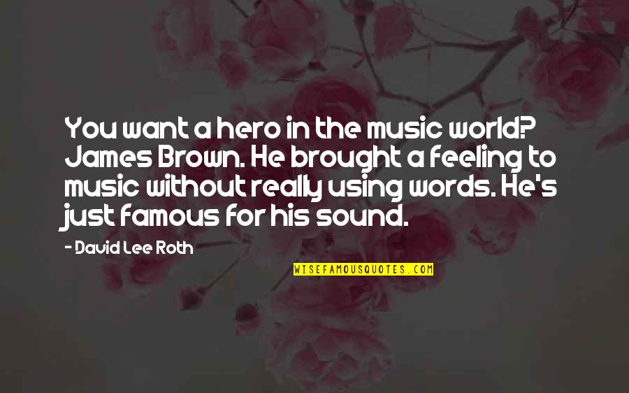 Famous Music Quotes By David Lee Roth: You want a hero in the music world?