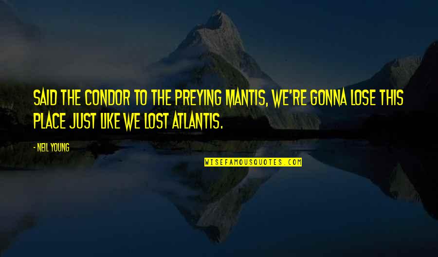 Famous New Home Quotes By Neil Young: Said the condor to the preying mantis, we're Famous New Home Quotes By Neil Young: Said the condor to the preying mantis, we're