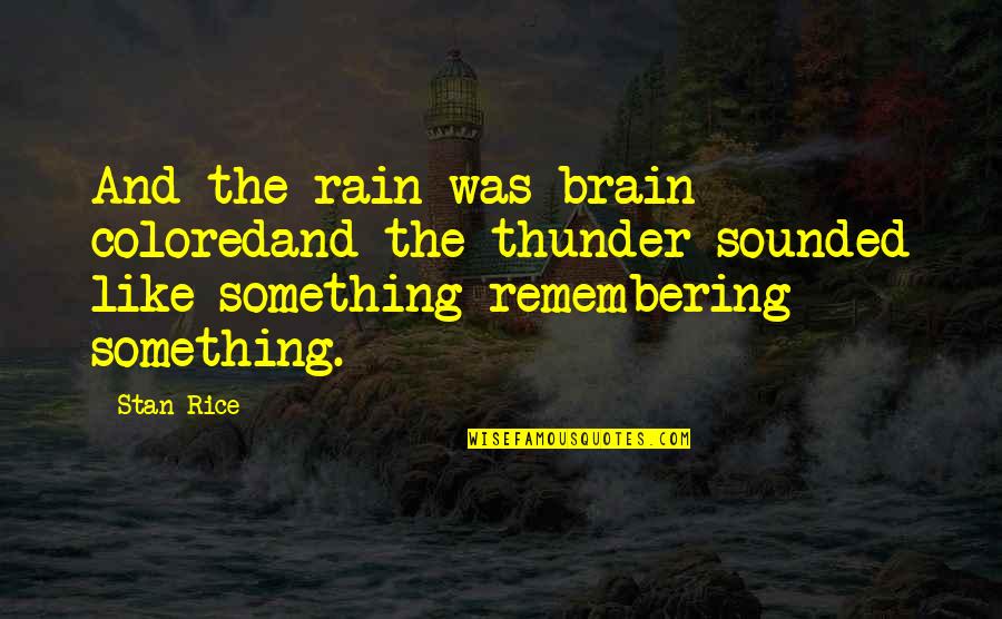 Famous Newlywed Game Quotes By Stan Rice: And the rain was brain coloredand the thunder