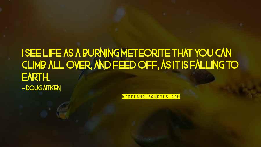 Famous Passage Quotes By Doug Aitken: I see life as a burning meteorite that