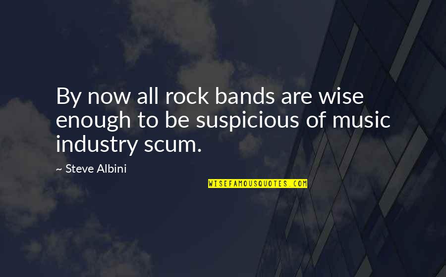 Famous Poets Quotes By Steve Albini: By now all rock bands are wise enough