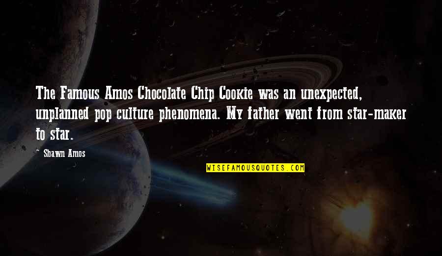 Famous Pop Culture Quotes By Shawn Amos: The Famous Amos Chocolate Chip Cookie was an