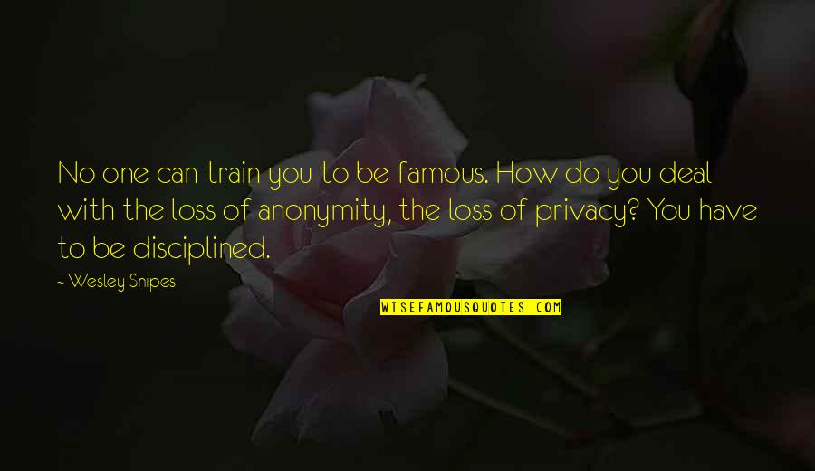 Famous Privacy Quotes By Wesley Snipes: No one can train you to be famous.