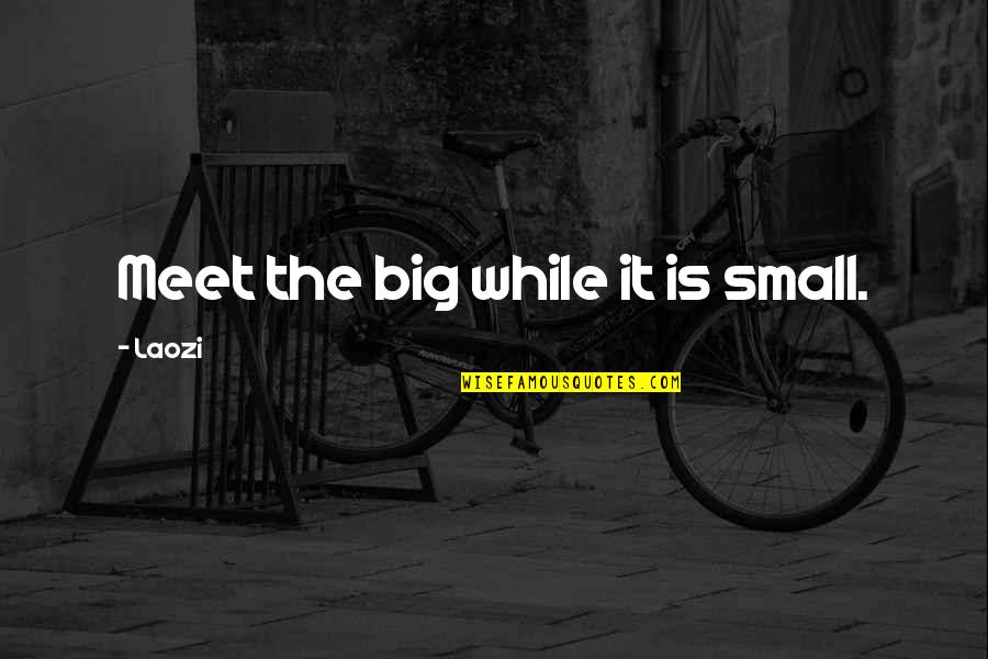 Famous Proverbs Quotes By Laozi: Meet the big while it is small.