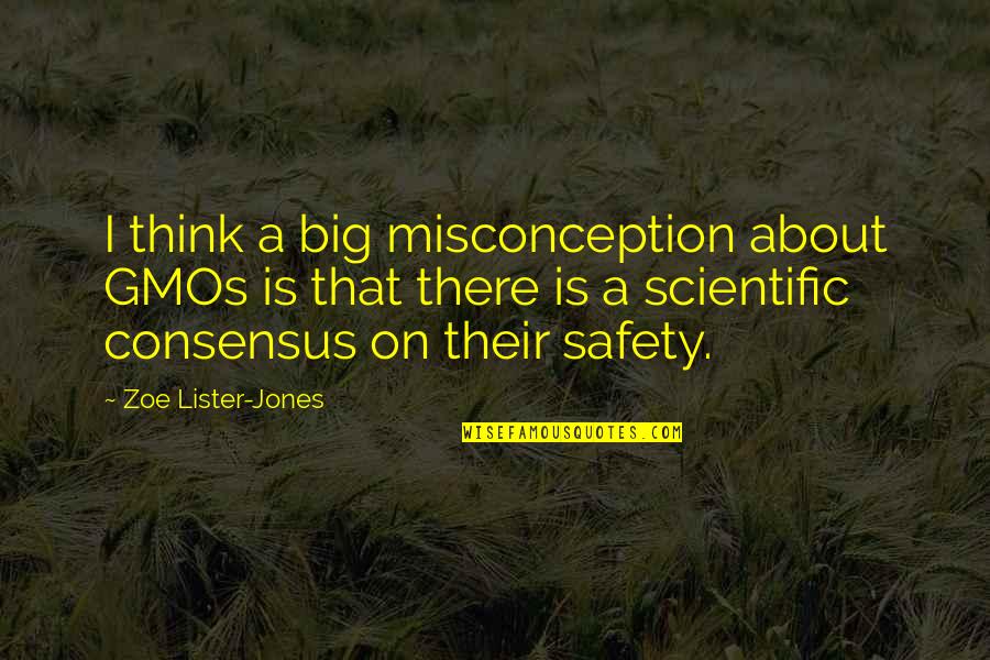 Famous Race Quotes By Zoe Lister-Jones: I think a big misconception about GMOs is