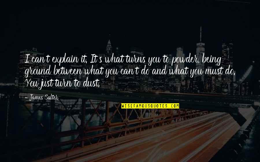 Famous Reorganization Quotes By James Salter: I can't explain it. It's what turns you Famous Reorganization Quotes By James Salter: I can't explain it. It's what turns you