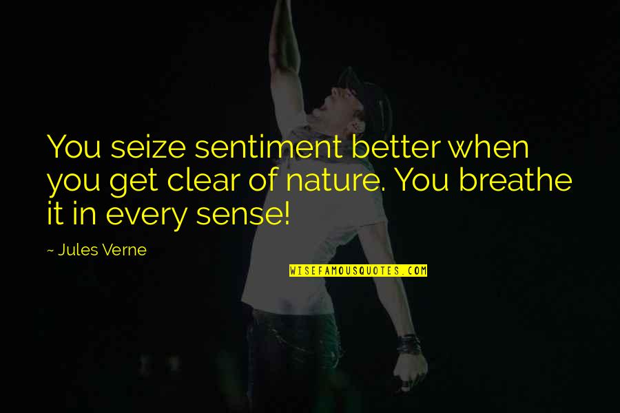 Famous Ricky Bobby Quotes By Jules Verne: You seize sentiment better when you get clear