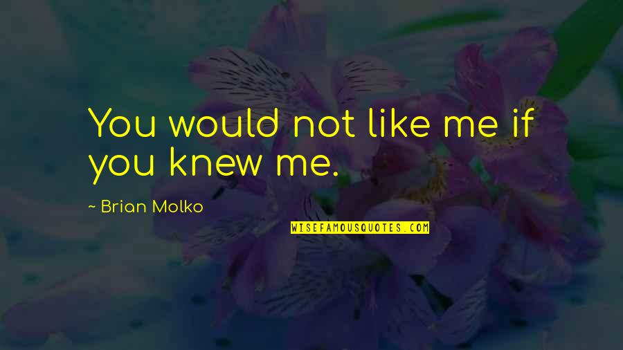 Famous Road Safety Quotes By Brian Molko: You would not like me if you knew