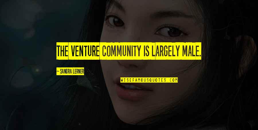 Famous Rock Band Quotes By Sandra Lerner: The venture community is largely male.