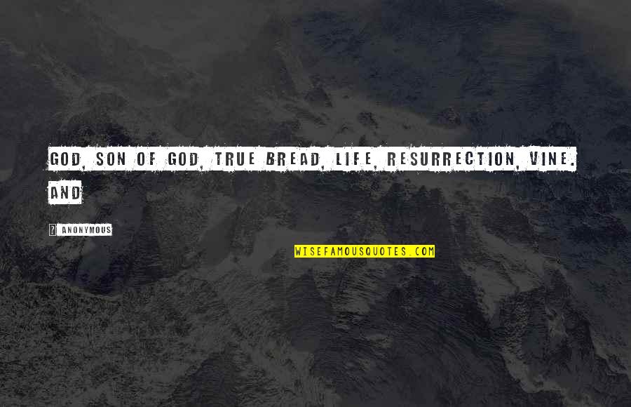 Famous Rock Stars Quotes By Anonymous: God, Son of God, true bread, life, resurrection,