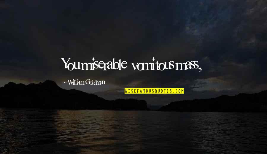 Famous Rocky Inspirational Quotes By William Goldman: You miserable vomitous mass,