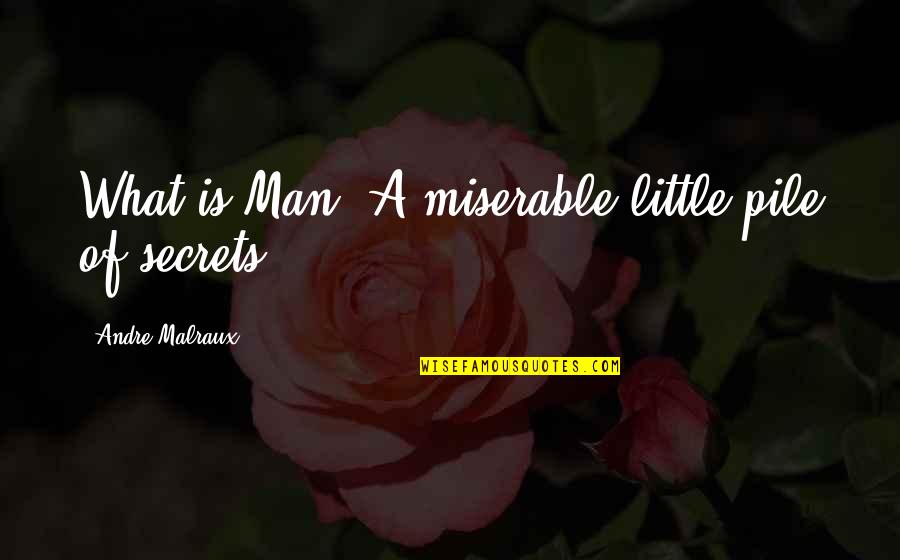 Famous Scooby Doo Shaggy Quotes By Andre Malraux: What is Man? A miserable little pile of Famous Scooby Doo Shaggy Quotes By Andre Malraux: What is Man? A miserable little pile of