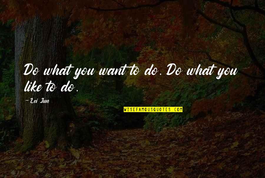 Famous Shelagh Delaney Quotes By Lei Jun: Do what you want to do. Do what
