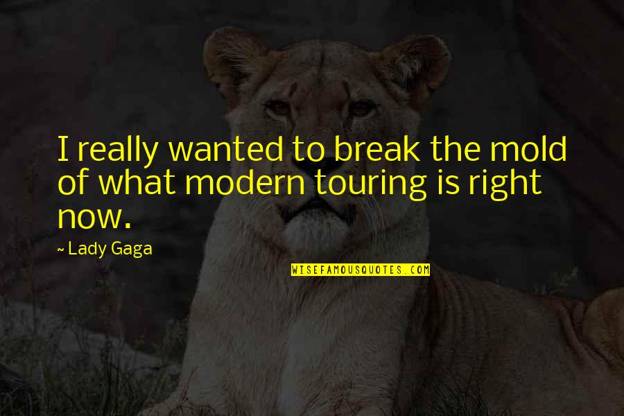 Famous Supply And Demand Quotes By Lady Gaga: I really wanted to break the mold of