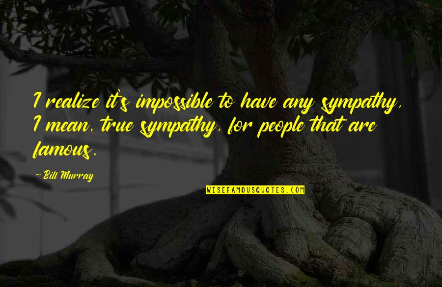 Famous Sympathy Quotes By Bill Murray: I realize it's impossible to have any sympathy,