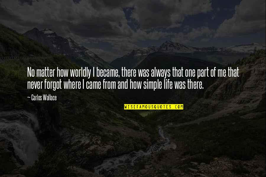 Famous Sympathy Quotes By Carlos Wallace: No matter how worldly I became, there was