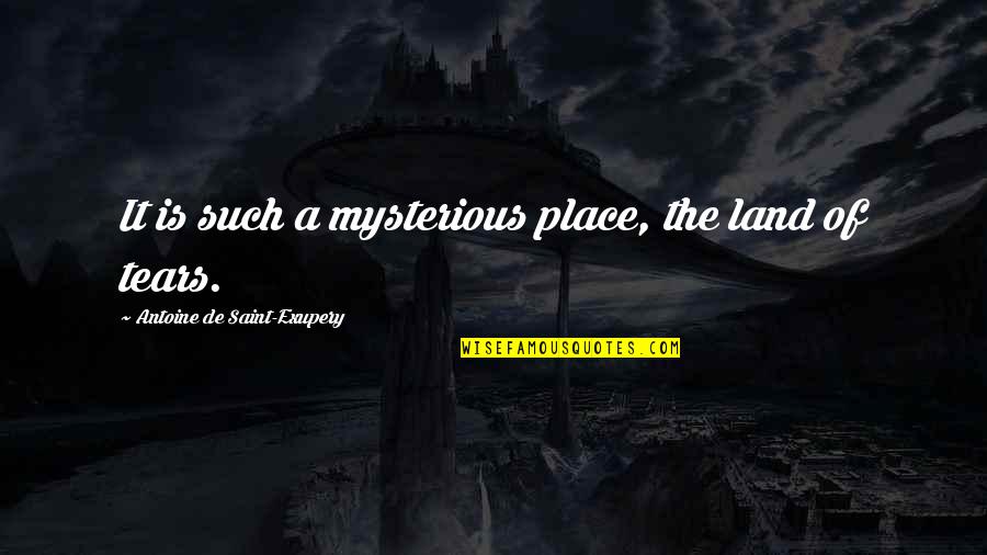 Famous The Vatican Quotes By Antoine De Saint-Exupery: It is such a mysterious place, the land