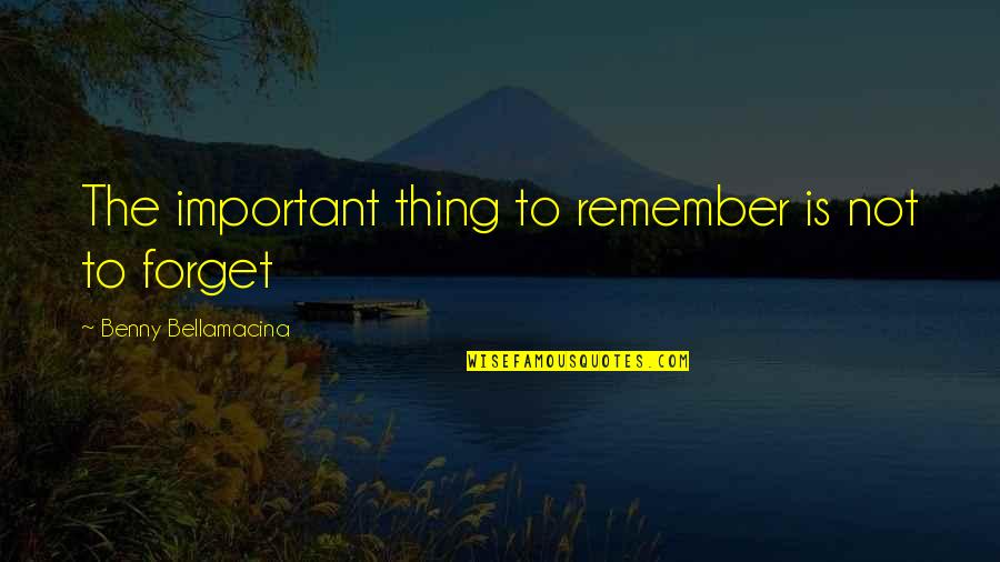 Famous Thing Quotes By Benny Bellamacina: The important thing to remember is not to