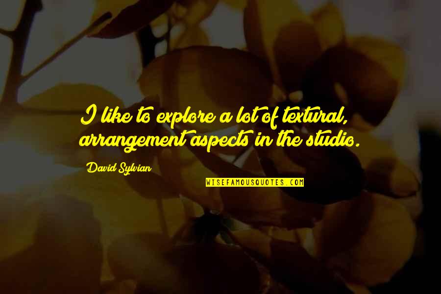 Famous Titian Quotes By David Sylvian: I like to explore a lot of textural,