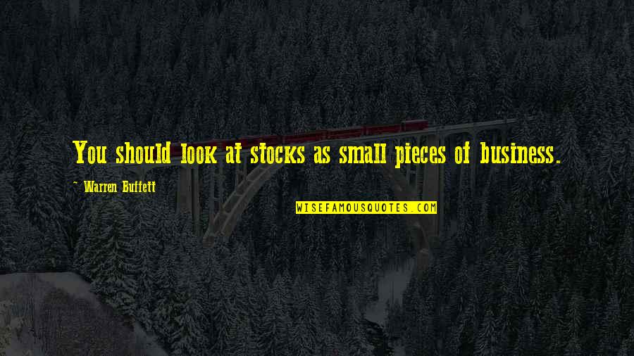 Famous Tough Life Quotes By Warren Buffett: You should look at stocks as small pieces