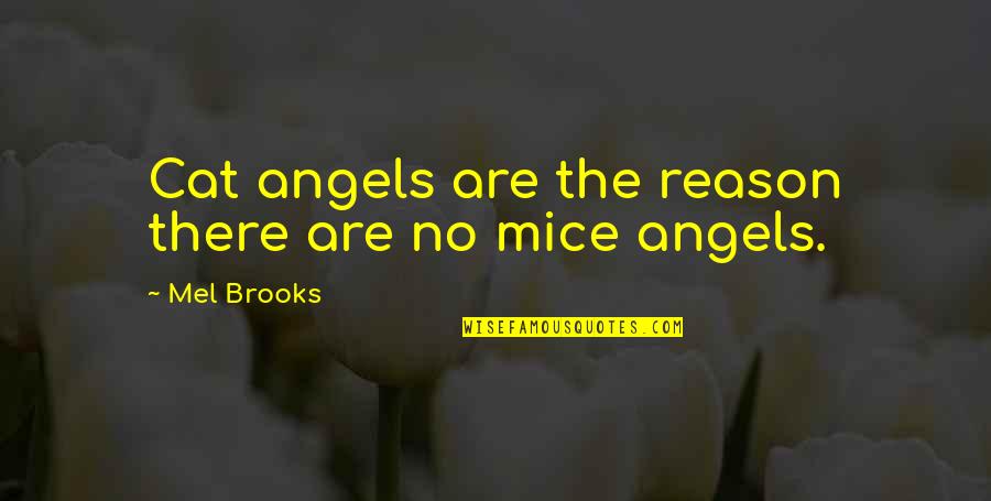 Famous True Grit Quotes By Mel Brooks: Cat angels are the reason there are no Famous True Grit Quotes By Mel Brooks: Cat angels are the reason there are no