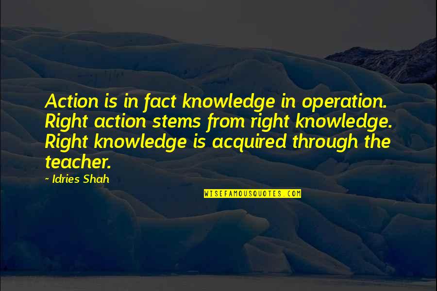 Famous Tsm Quotes By Idries Shah: Action is in fact knowledge in operation. Right