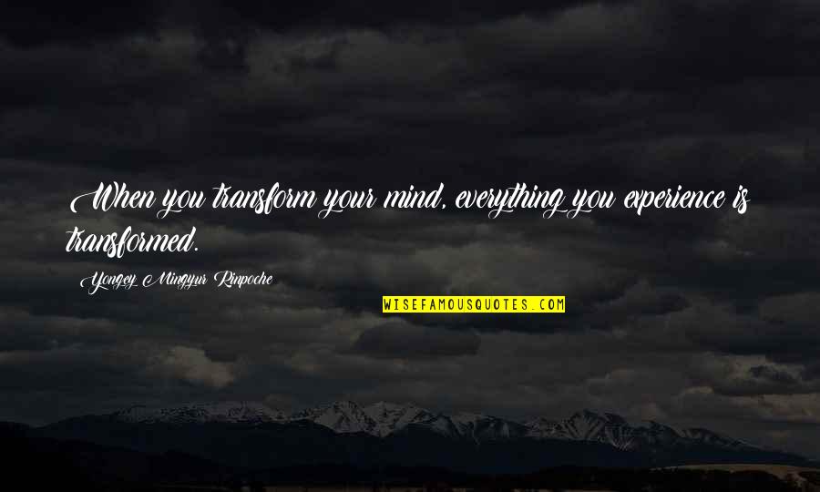 Famous Ultimate Frisbee Quotes By Yongey Mingyur Rinpoche: When you transform your mind, everything you experience