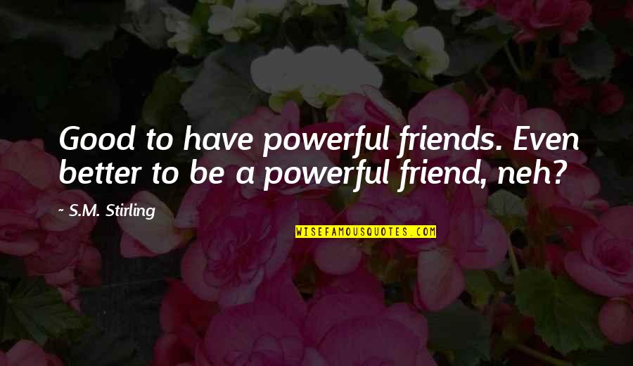 Famous Universal Truths Quotes By S.M. Stirling: Good to have powerful friends. Even better to