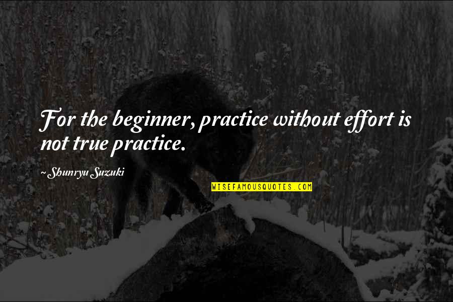 Famous Unsung Hero Quotes By Shunryu Suzuki: For the beginner, practice without effort is not Famous Unsung Hero Quotes By Shunryu Suzuki: For the beginner, practice without effort is not
