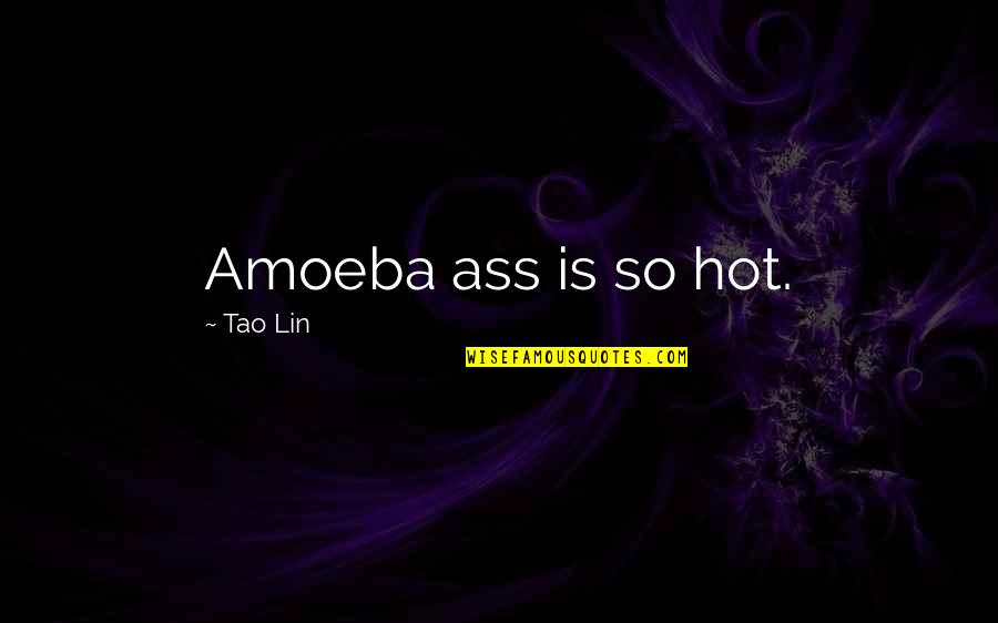 Famous Vietnamese Quotes By Tao Lin: Amoeba ass is so hot.