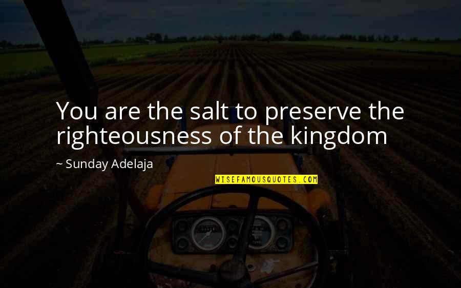 Famous Virtual Reality Quotes By Sunday Adelaja: You are the salt to preserve the righteousness Famous Virtual Reality Quotes By Sunday Adelaja: You are the salt to preserve the righteousness