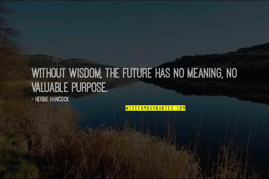 Famous Wendy Liebman Quotes By Herbie Hancock: Without wisdom, the future has no meaning, no Famous Wendy Liebman Quotes By Herbie Hancock: Without wisdom, the future has no meaning, no