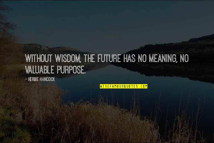 Famous Wendy Liebman Quotes By Herbie Hancock: Without wisdom, the future has no meaning, no