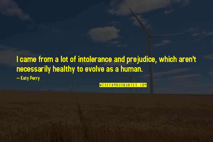 Famous Window Blinds Quotes By Katy Perry: I came from a lot of intolerance and Famous Window Blinds Quotes By Katy Perry: I came from a lot of intolerance and