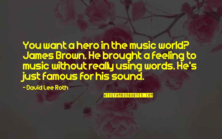 Famous Words Or Quotes By David Lee Roth: You want a hero in the music world?