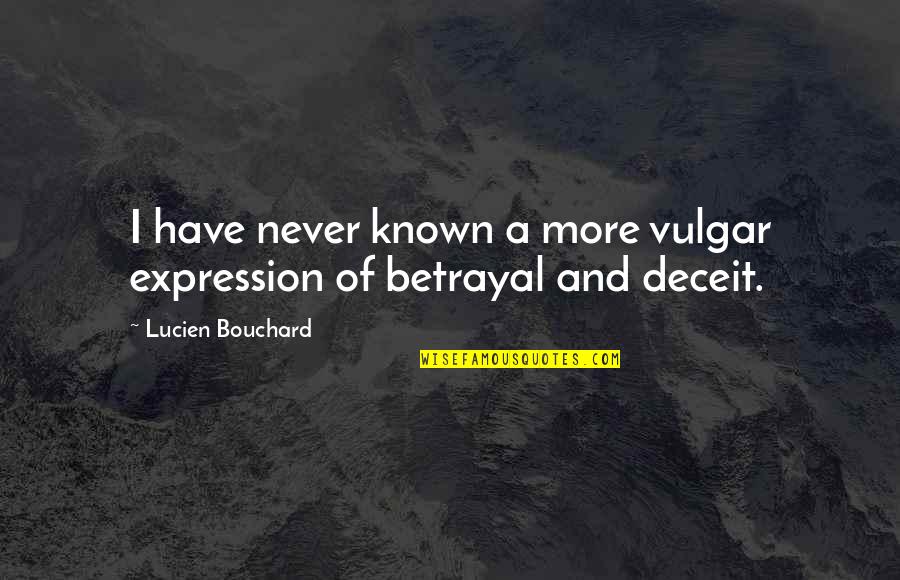 Famous Work Ethic Quotes By Lucien Bouchard: I have never known a more vulgar expression