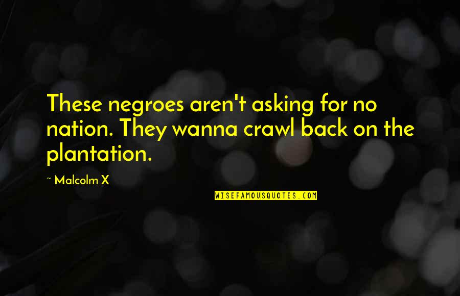 Famous Zakk Wylde Quotes By Malcolm X: These negroes aren't asking for no nation. They