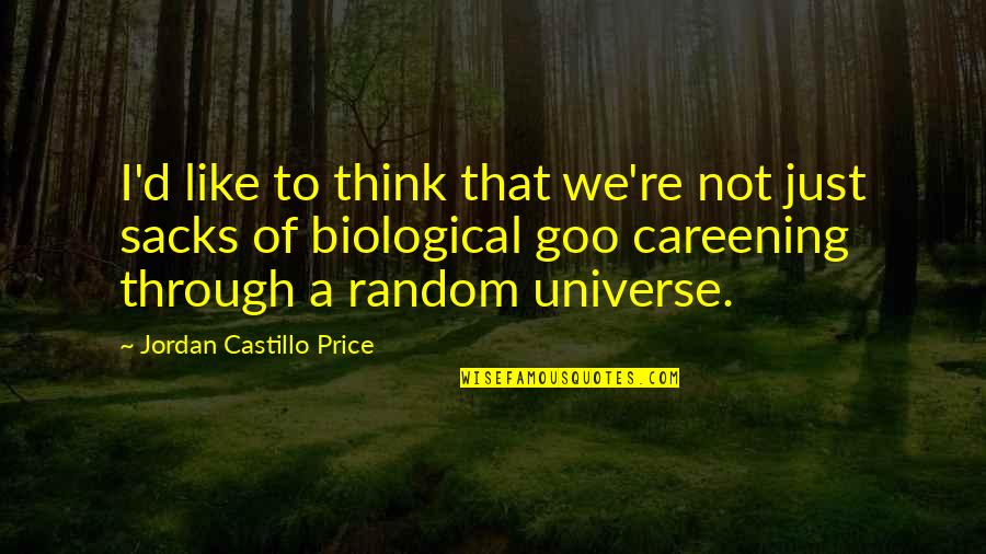 Fanatismos Religiosos Quotes By Jordan Castillo Price: I'd like to think that we're not just