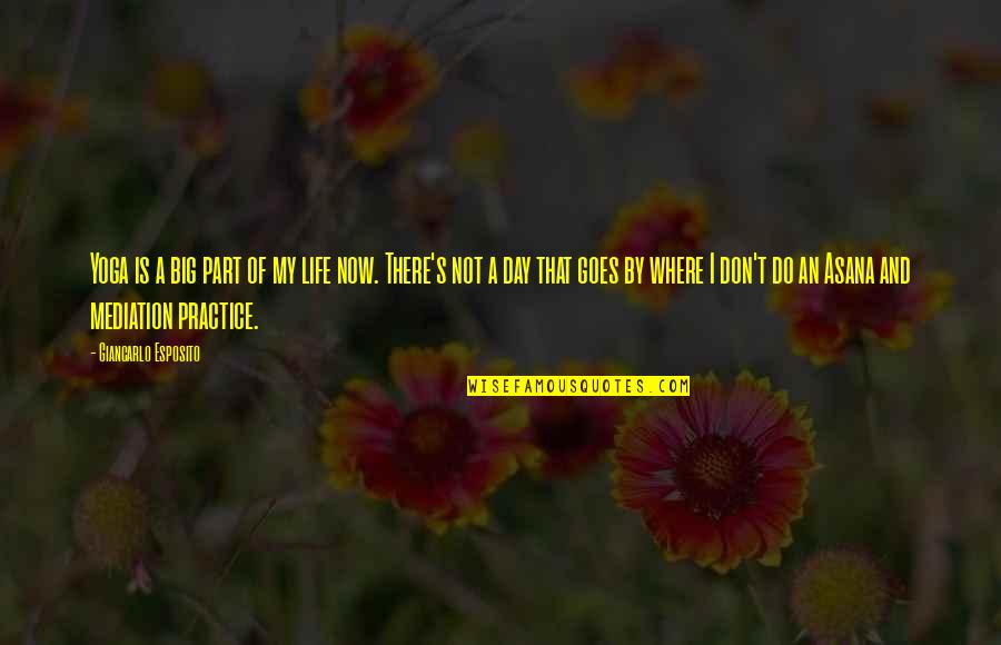 Fancy Meal Quotes By Giancarlo Esposito: Yoga is a big part of my life Fancy Meal Quotes By Giancarlo Esposito: Yoga is a big part of my life