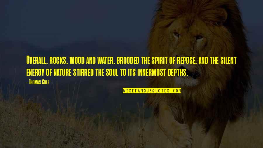Fancy Quotes And Quotes By Thomas Cole: Overall, rocks, wood and water, brooded the spirit